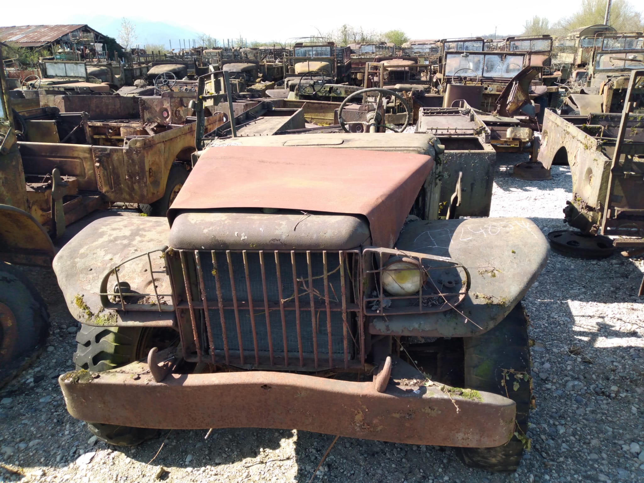 DODGE WC 51